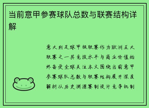 当前意甲参赛球队总数与联赛结构详解