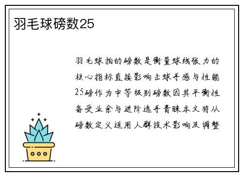 羽毛球磅数25