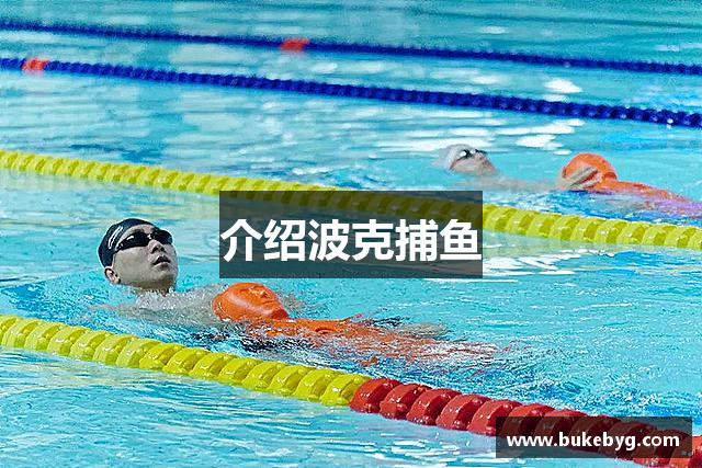 介绍波克捕鱼